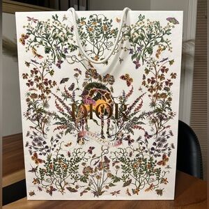 Dior holiday Limited Edition Design 2024 shopping bags